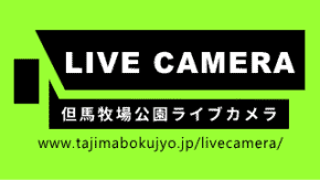 但馬牧場公園LIVEカメラ